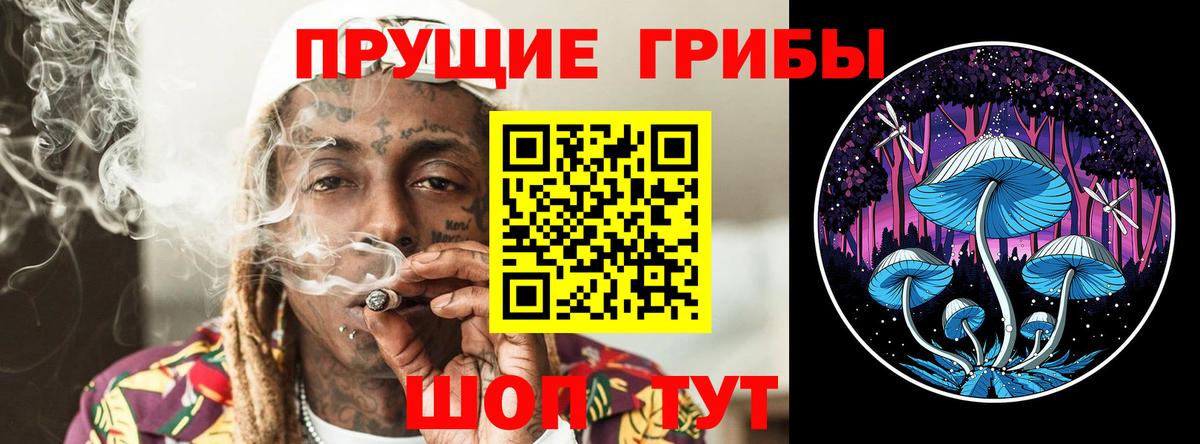 Псилоцибиновые грибы Psilocybe Добрянка