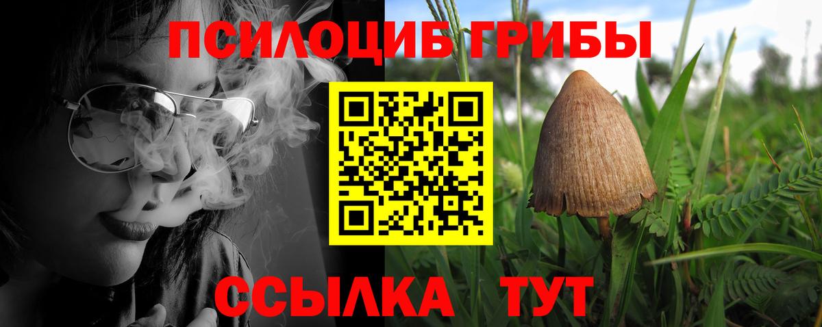Псилоцибиновые грибы GOLDEN TEACHER  Псилоцибиновые грибы прущие грибы  закладка  Вход с VPN  Добрянка 
